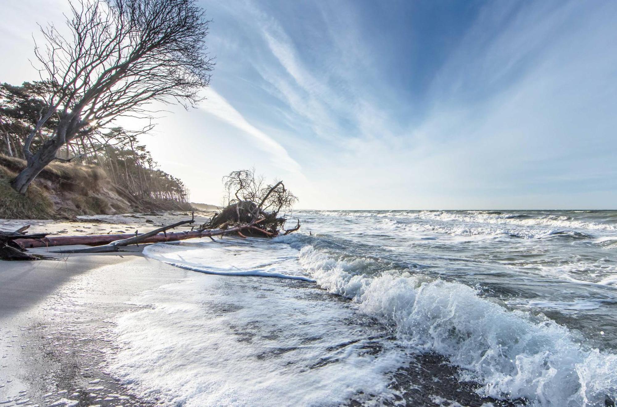 Leuchtturm An Der Seebruecke Zingst Dış mekan fotoğraf