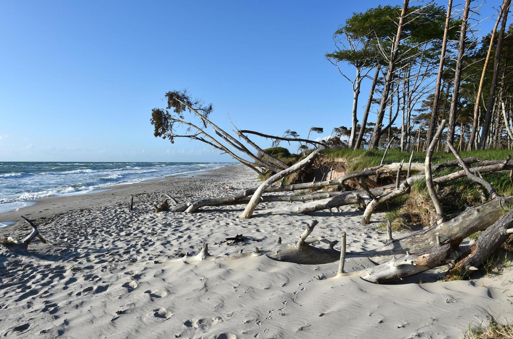 Leuchtturm An Der Seebruecke Zingst Dış mekan fotoğraf